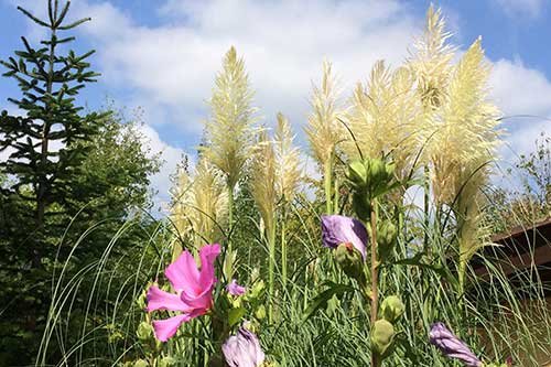 Camping-Les-Charmes-Plumes_500